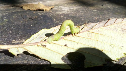 2010-09-29_12-24-12_221