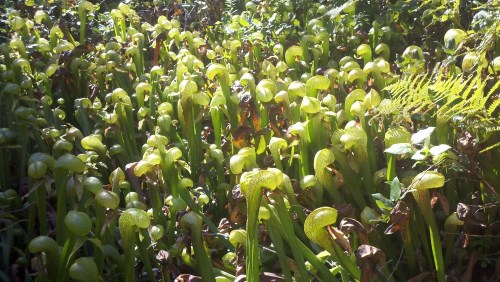 2010-09-30_14-20-45_218