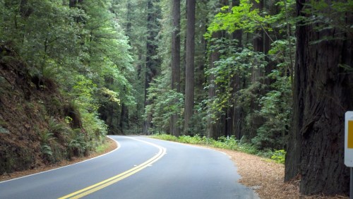 2010-10-07_10-42-12_554