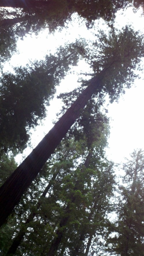 2010-10-07_10-49-05_800