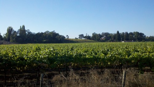 2010-10-12_09-02-15_606