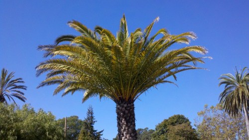 2010-10-18_13-03-11_91