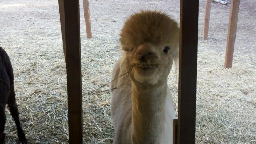 2010-10-19_09-27-01_524