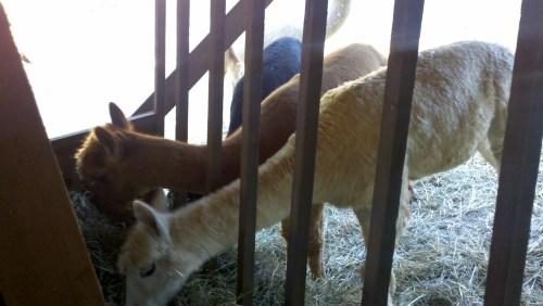 2010-10-19_09-27-09_352