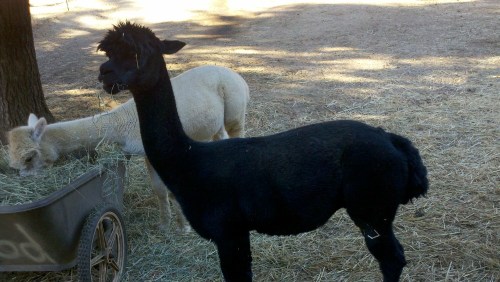 2010-10-19_09-32-53_967