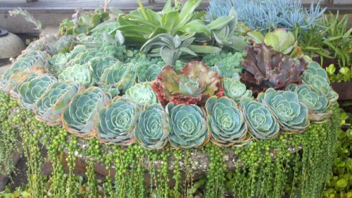 2010-10-23_07-45-58_570