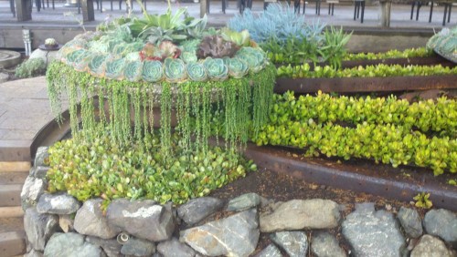 2010-10-23_07-46-09_382