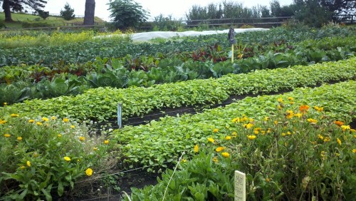 2010-10-23_16-33-18_2