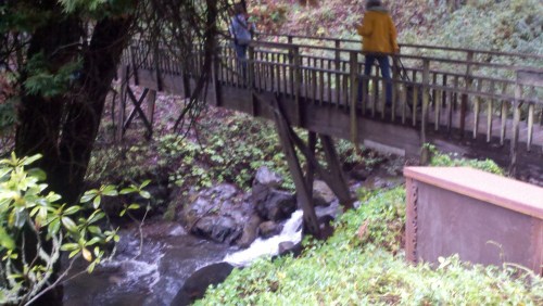 2010-10-24_09-35-14_135