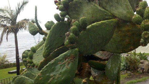 2010-10-24_09-41-24_760