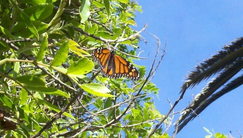 2010-10-25_15-52-27_140