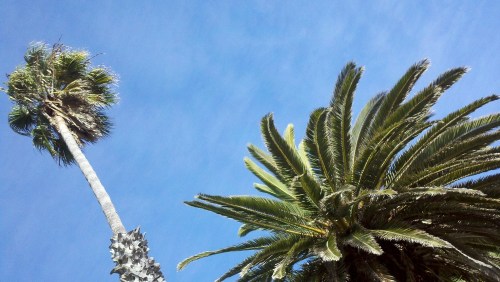 2010-10-25_15-53-41_73