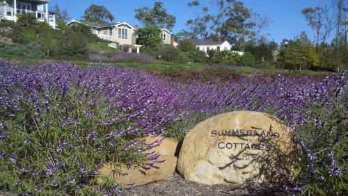 2010-10-26_15-58-36_225