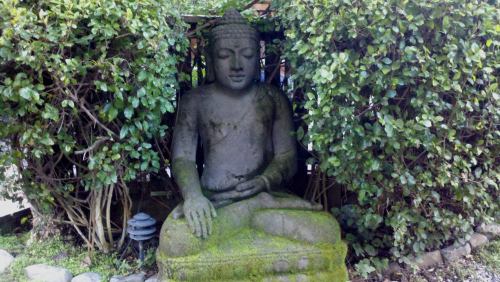 2011-01-17_16-09-34_9