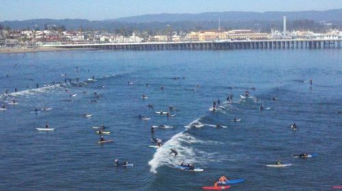 2011-01-17_surfschool