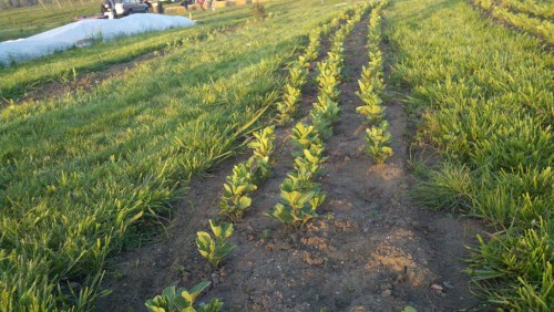 2011-04-22_19-35-57_55