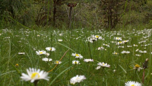 2011-05-21_14-29-21_79