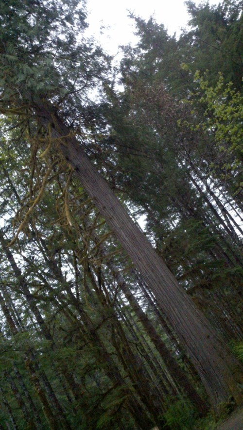 2011-05-21_14-32-04_156