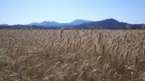 2011-08-11_16-35-00_427