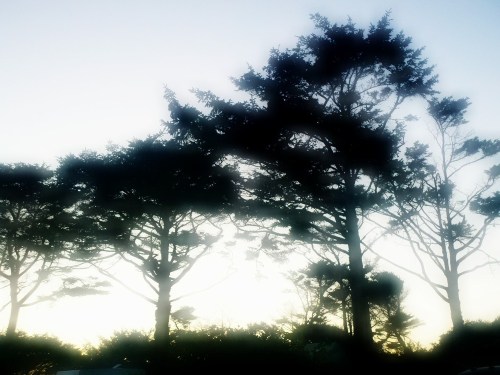 C360_2011-08-17_20-28-47