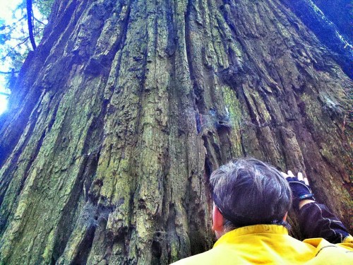 C360_2011-10-06_16-12-33