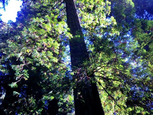 C360_2011-10-06_16-31-06