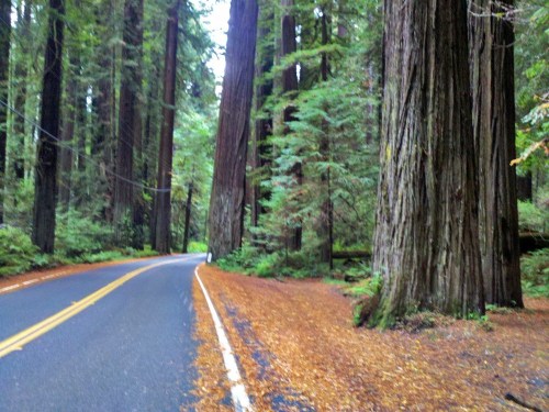 C360_2011-10-08_15-48-40