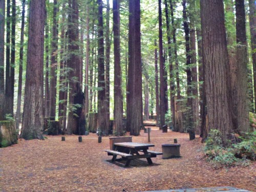 C360_2011-10-08_16-53-27