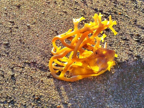 C360_2011-10-11_18-13-29