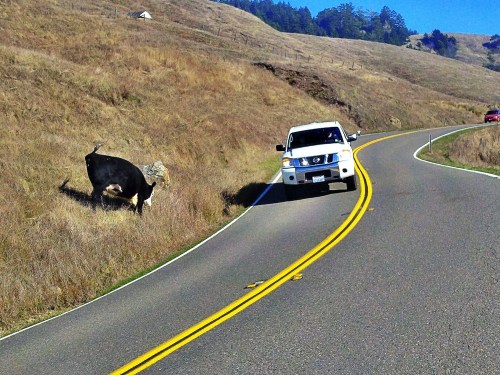 C360_2011-10-13_15-10-17