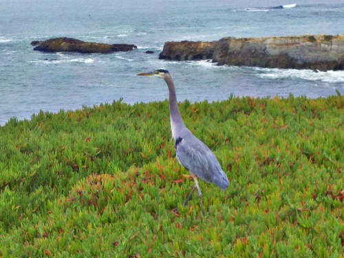 C360_2011-10-16_12-00-32