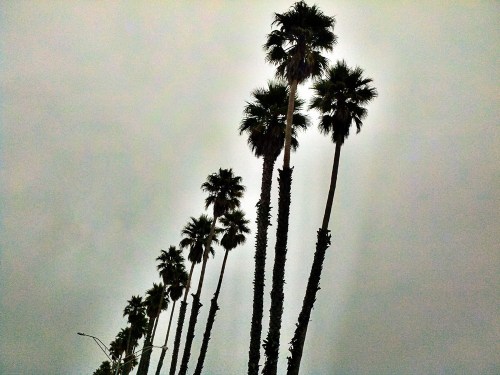 C360_2011-10-18_16-42-02