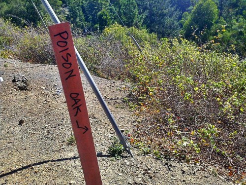 C360_2011-10-21_12-07-02