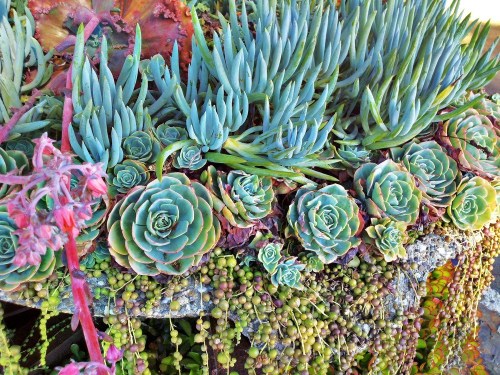 C360_2011-10-21_15-54-22