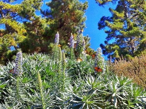 C360_2011-10-22_13-51-58