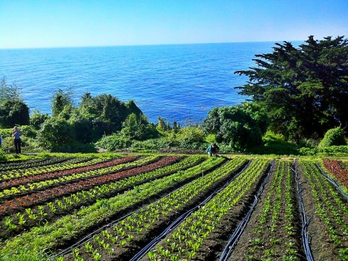 C360_2011-10-23_10-24-58