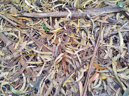 C360_2011-10-24_17-08-40