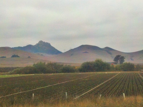 C360_2011-10-25_08-39-57