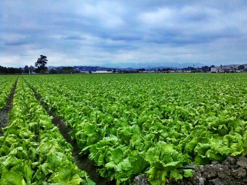 C360_2011-10-25_12-01-48