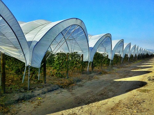 C360_2011-10-26_09-20-17