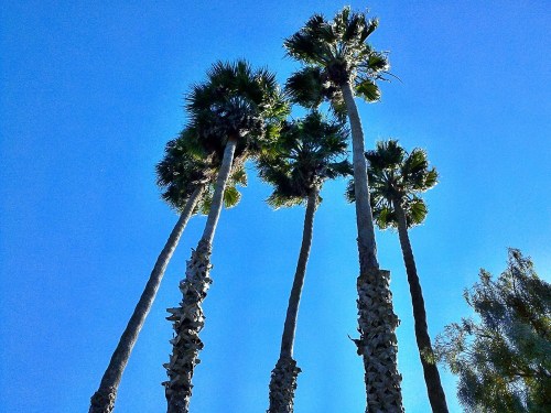 C360_2011-10-27_14-49-16