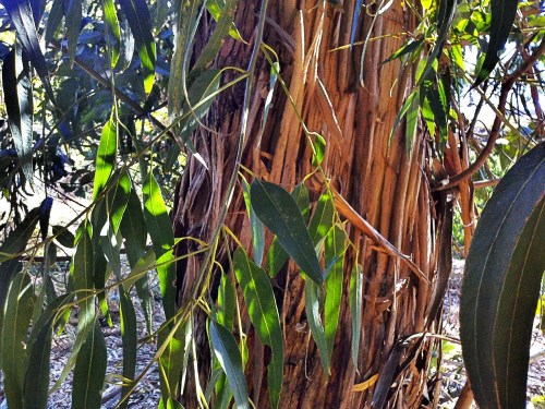 C360_2011-10-27_15-14-04