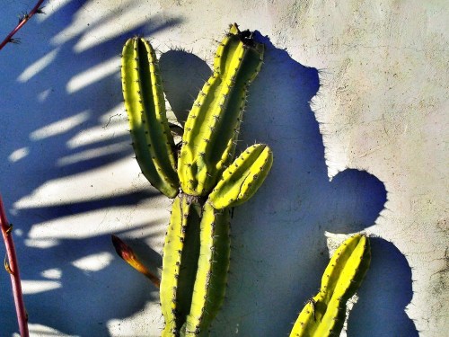 C360_2011-10-29_16-30-43