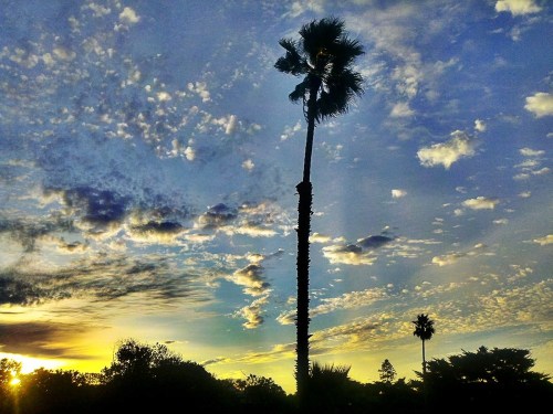 C360_2011-11-10_06-36-29