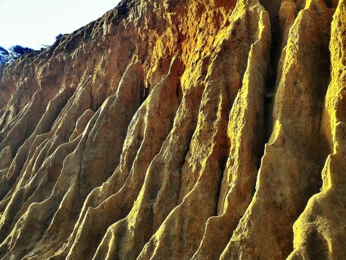 C360_2011-11-10_08-16-45