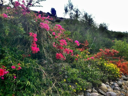 C360_2011-11-10_09-03-20