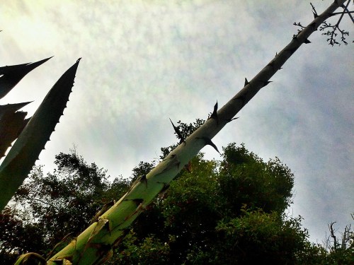 C360_2011-11-10_09-06-14