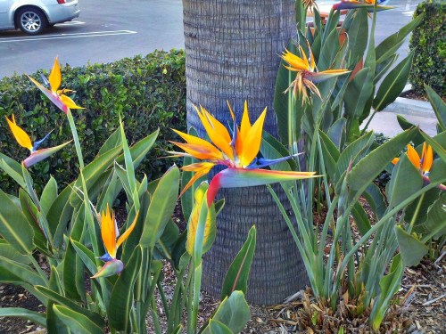 C360_2011-11-13_07-31-31