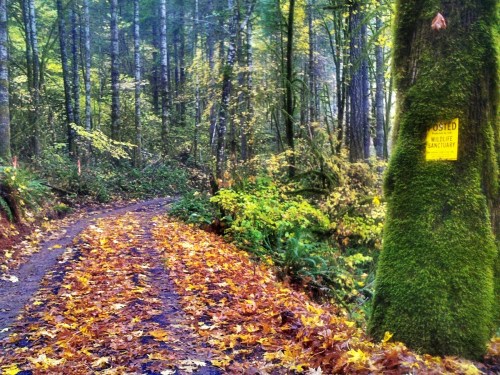 C360_2011-11-15_10-01-49