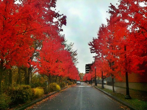 C360_2011-11-16_12-25-04